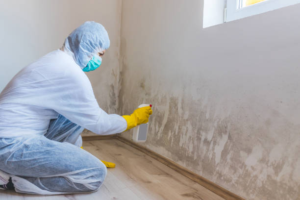 Crawl Space Mold Removal in Liberty Triangle, FL