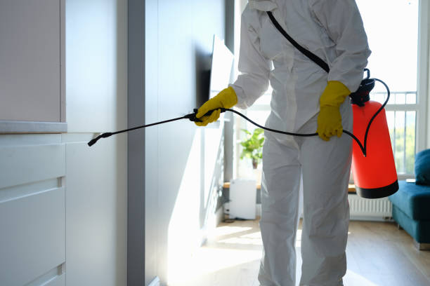 Best Office Mold Removal Services  in Liberty Triangle, FL