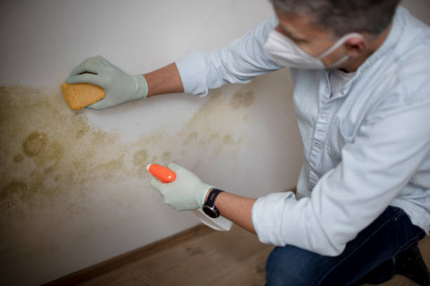 Best Water Damage Restoration  in Liberty Triangle, FL
