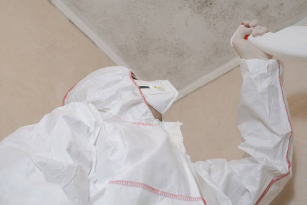 Best Residential Mold Removal  in Liberty Triangle, FL