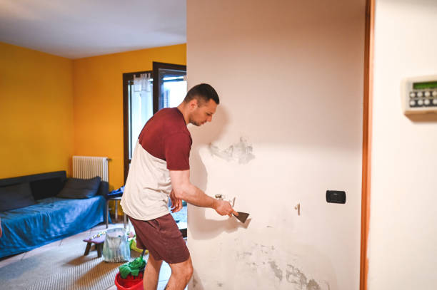 Best Mold Cleaning Services  in Liberty Triangle, FL
